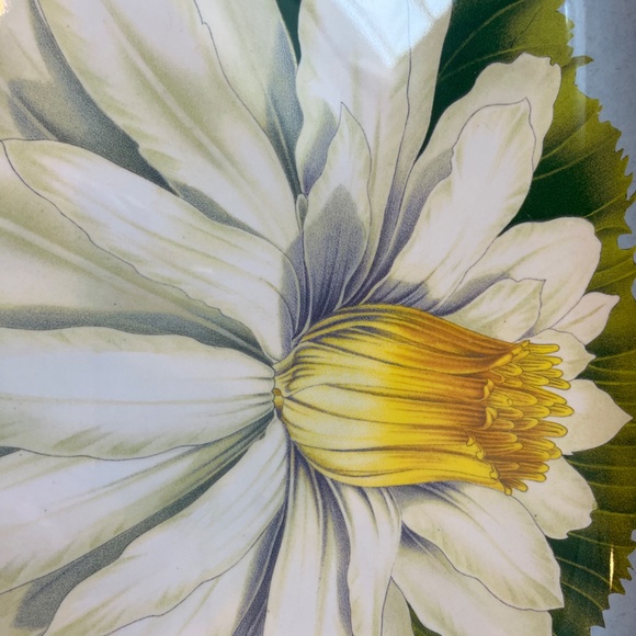 John Derian Melamine Square Serving Tray Plate Lotus Flower - Picture 2 of 4